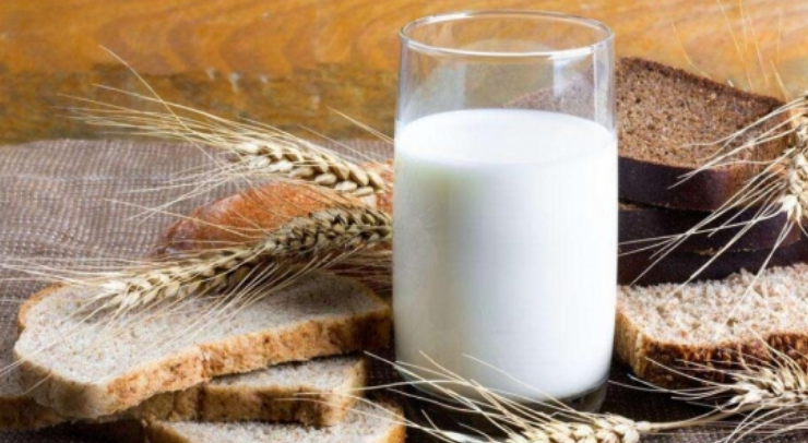 驼奶是什么,为什么驼奶那么贵