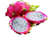 有人吃火龙果,挑了一下午的籽