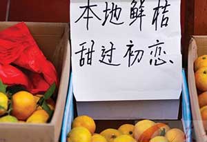 我懂我懂你先把字签了,你是真懂吗