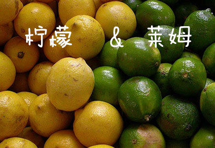 莱姆图片,莱姆的功效与作用,莱姆营养价值