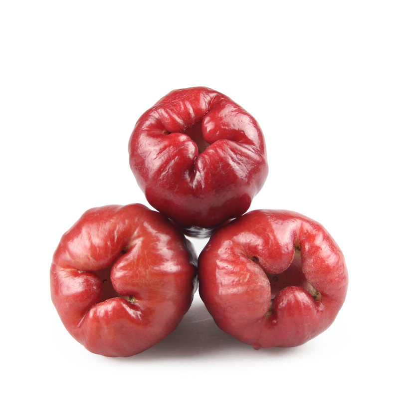 莲雾图片大全大图,新鲜莲雾图片集