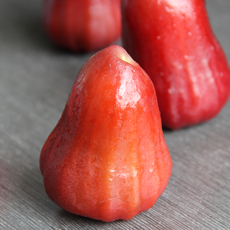 台湾蜜风铃莲雾图片,大个莲雾图片