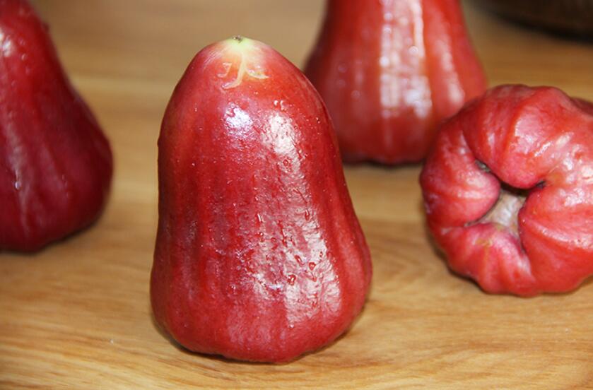 台湾蜜风铃莲雾图片,大个莲雾图片