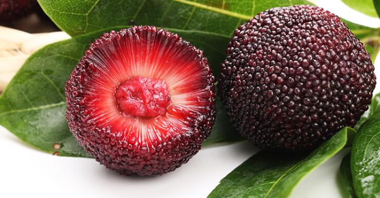 高清杨梅图片大全,颜值高的杨梅图片