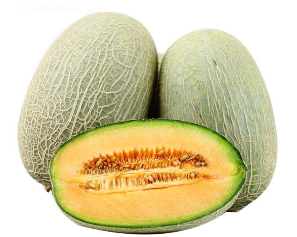 哈密瓜图片,哈密瓜种子,哈密瓜长在哪