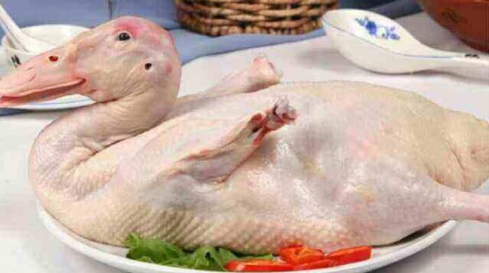 鸭肉是发物吗,冻鸭肉怎么去腥味