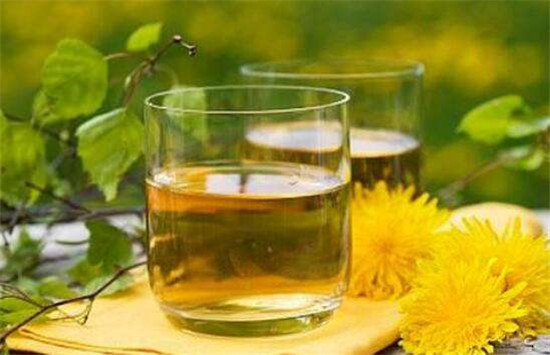 蒲公英茶怎么泡水喝,蒲公英泡水的正确用量