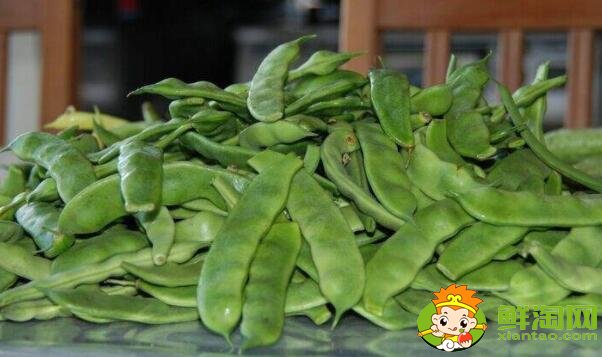 油豆角几月份收获,油豆角怎么保存时间长