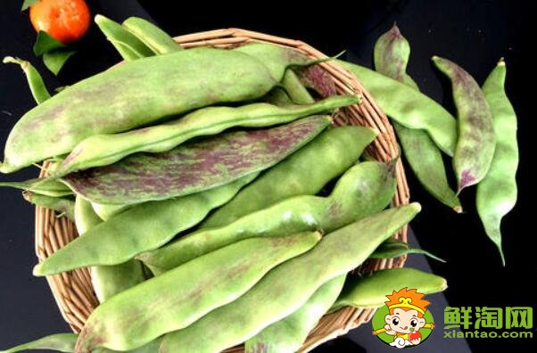 油豆角几月份收获,油豆角怎么保存时间长