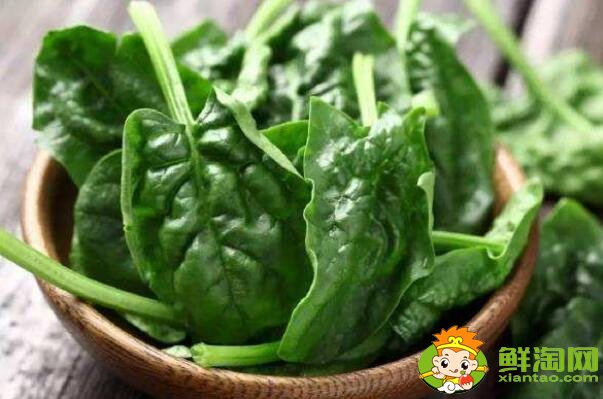 什么月份吃菠菜,菠菜一年能种几次