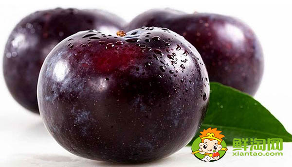 黑布林硬的能吃吗,吃了硬的黑布林咋办