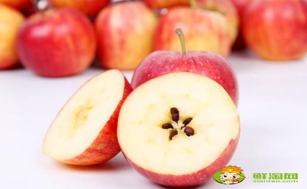 k9是什么水果,海棠果和花红的区别
