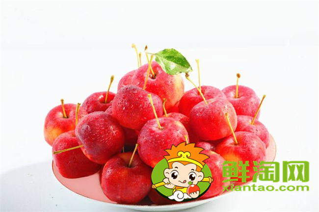 沙果是海棠果吗,海棠果和沙果的区别