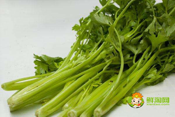 芹菜叶不焯水能吃吗,新鲜芹菜叶怎么做好吃