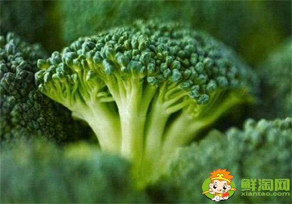 西兰花变白了能吃吗,西兰花吃多了的害处