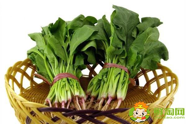 菠菜贱卖是什么梗,网络语菠菜是什么意思