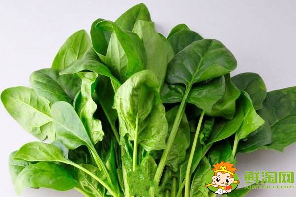 菠菜贱卖是什么梗,网络语菠菜是什么意思