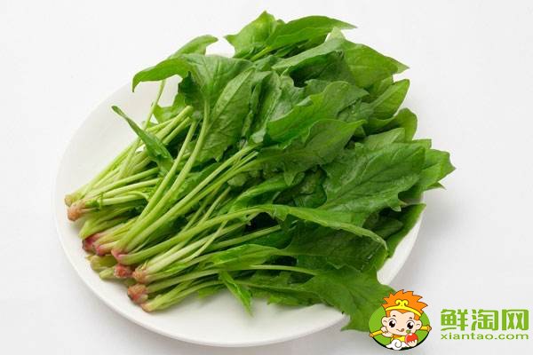 菠菜贱卖是什么梗,网络语菠菜是什么意思