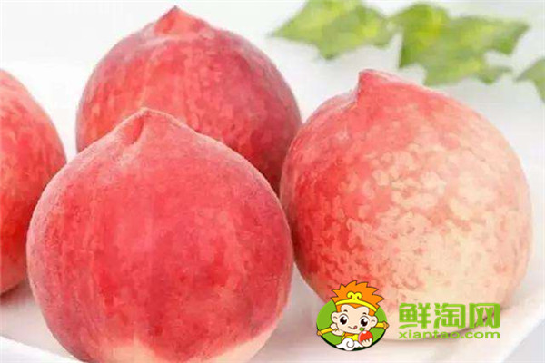 冬桃产地哪里的最好,冬桃和雪桃有什么区别