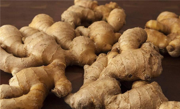 冬季养生必吃十种食物,冬天适合吃什么养生食物